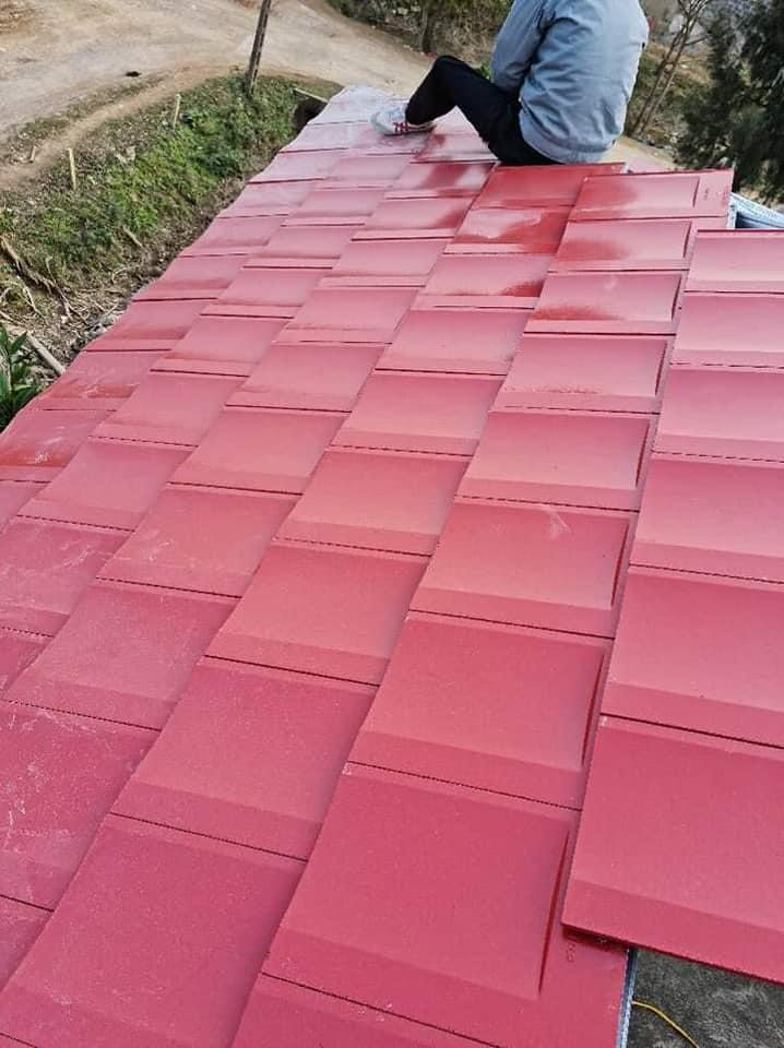 Ngói Piata Viglacera PT01-19 - Ảnh 2